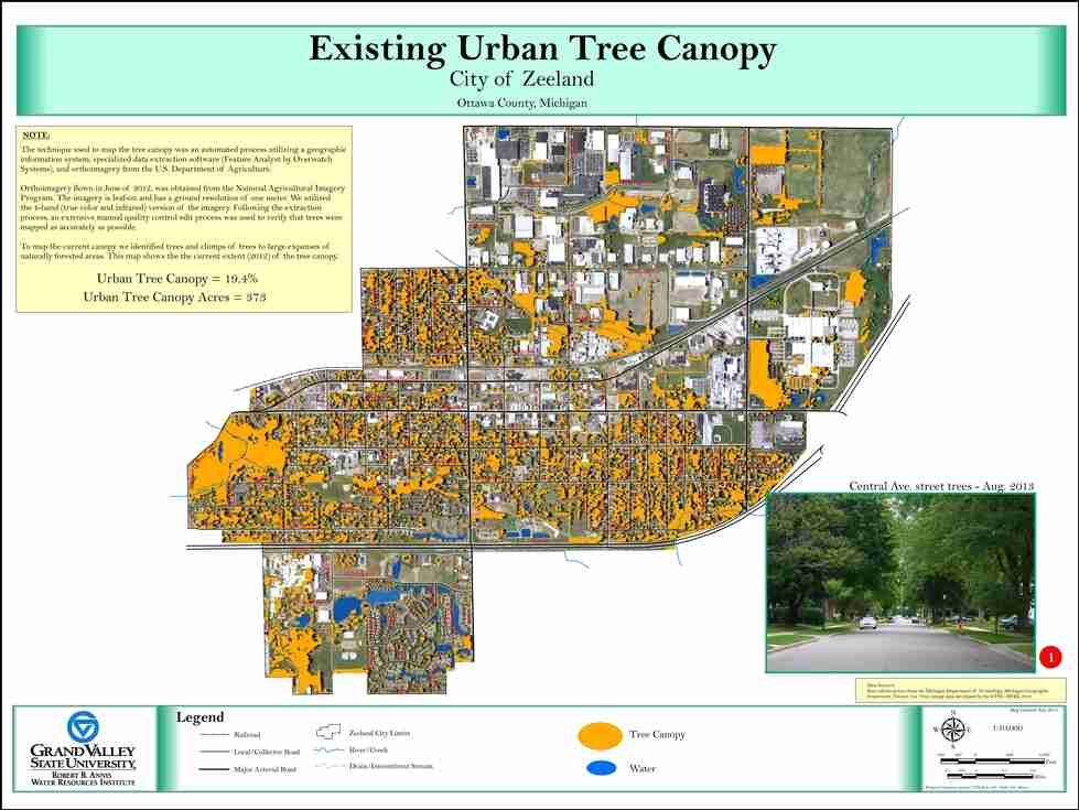 Existing Urban Tree Canopy